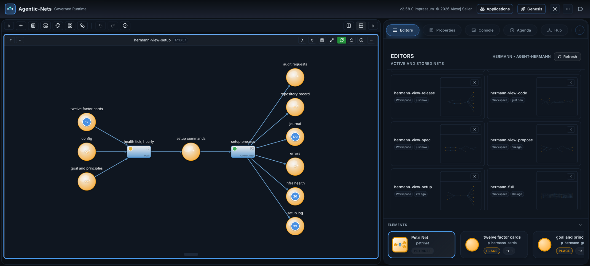 The hermann-view-setup drawing: config, goal and cards feed an hourly health tick, a setup command place and a setup process lane that fans out into six places